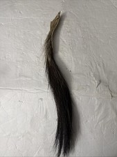 100% Real African Zebra Tail