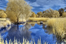 Nikon D3000 Infrared converted 590nm Digital IR infrared Camera.Super colour.