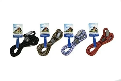 Cesar millan slip - cesar, lead