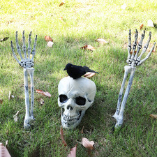 GROUND BREAKING SKELETON PROP
