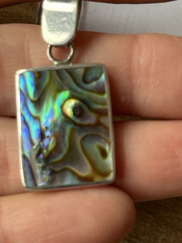 Silver abalone paua shell - silver,