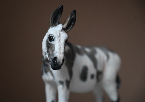 Artist resin custom - custom, by