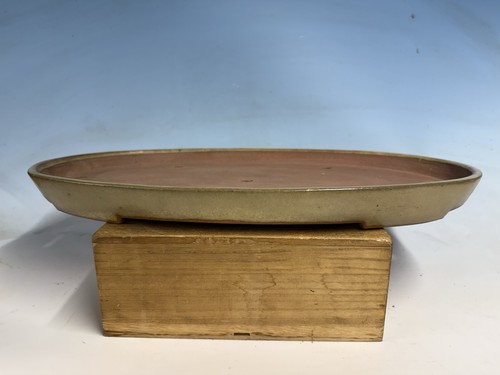 Cream glazed tokoname bonsai - ,