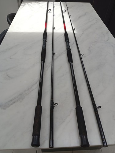 Sundridge electra carp - 2x,