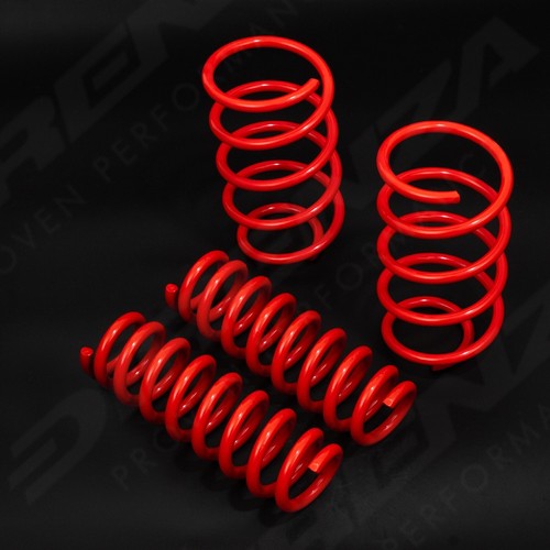 Direnza suspension lowering - suspension,