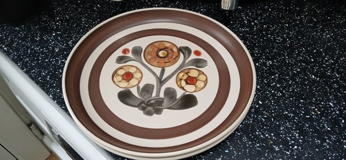 Denby mayflower dinner plates - mayflower,