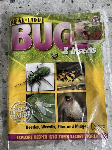 Real life bugs issue - real,