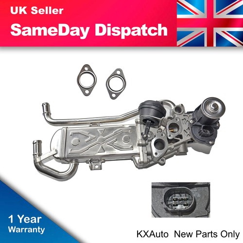 Egr valve cooler - valve, for