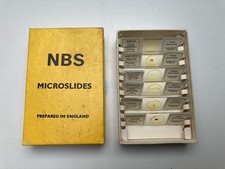 Vintage MICROSCOPE SLIDES of Insect Parts Set 6/U NBS Microslides