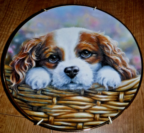 Danbury mint take home - danbury, me