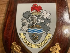 VINTAGE ROYAL AIR FORCE (RAF)