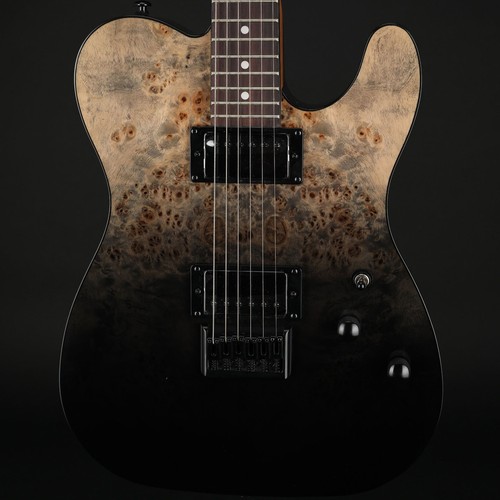 Schecter standard black - standard, in