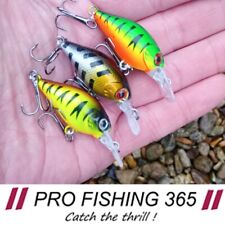 Fishing Lure Trout Chub Perch