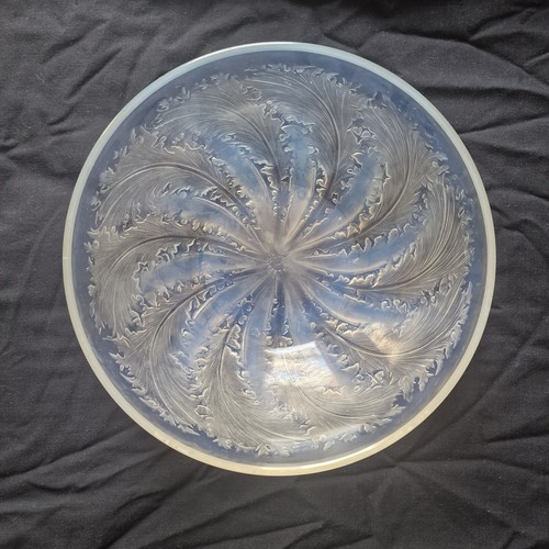 Lalique chicoree pattern - lalique,