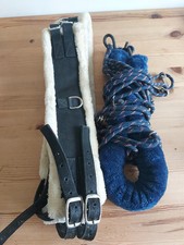 Lunge Training System With