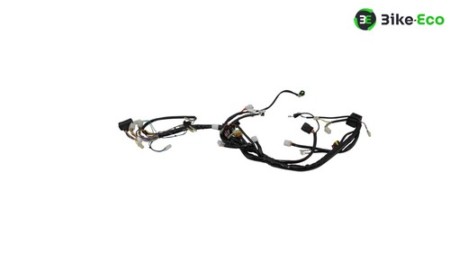 Electric harness aprilia rxv - electric,