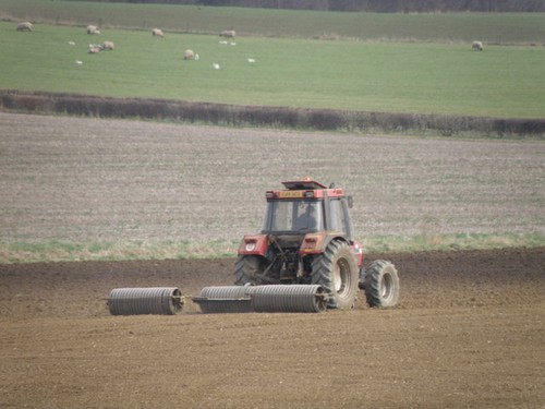 Photo 6x4 cambridge rolling - 6x4,