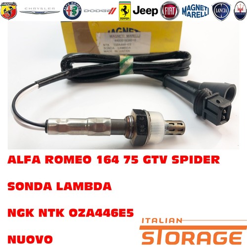 Alfa romeo 164 gtv spider - alfa,