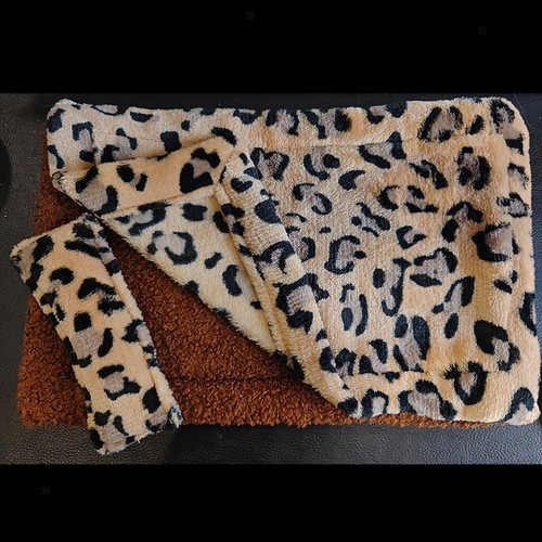 Bearded dragon bed small - bearded,