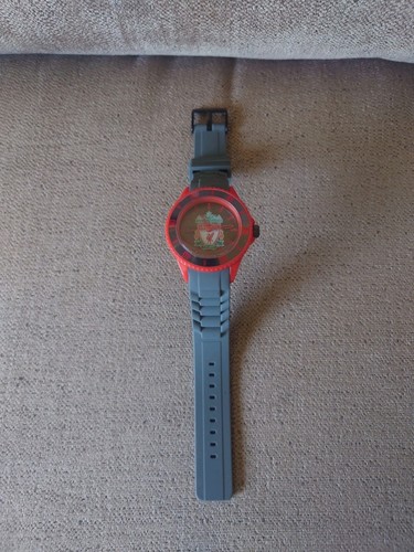 Liverpool football watch - football,