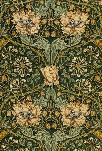 Velvet fabric william - fabric,