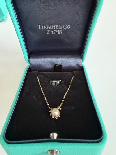 Tiffany paloma picasso - co.,