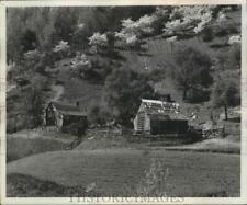 1960 Press Photo Several