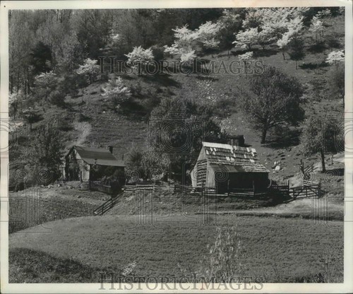 1960 press photo several - press,