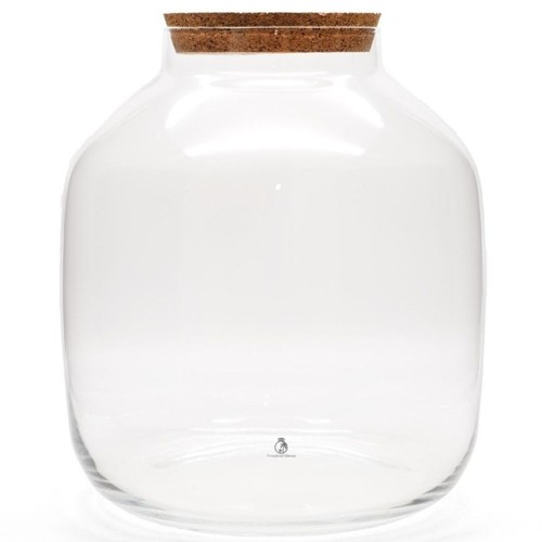 Large glass terrarium jar - glass,