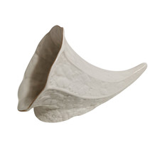 Belleek Irish Porcelain Cornucopia Vase Oak Leaf & Acorn 12" Millennium 2000