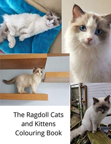 The ragdoll cats - cats, kittens