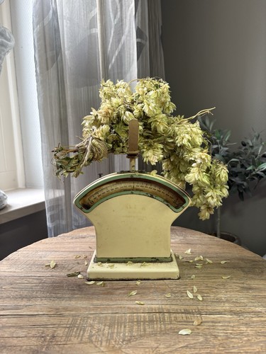 Vintage salter kitchen scale - kitchen,