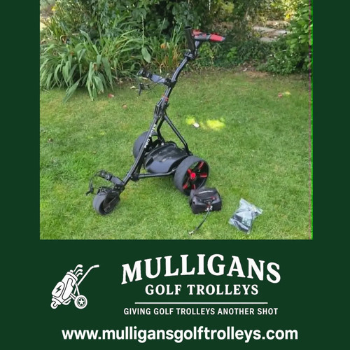 Used pro rider electric golf - rider,