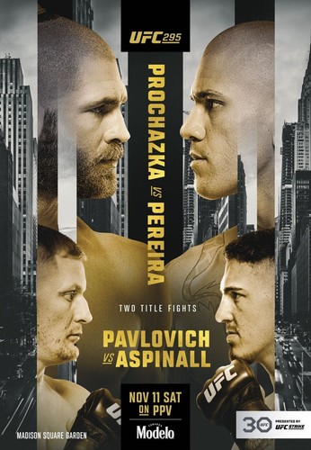 Fight poster ufc - poster,