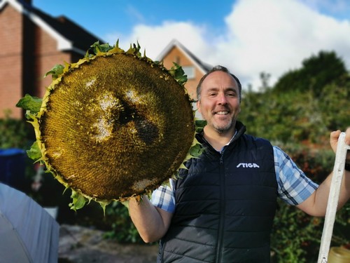 Giant sunflower world record - giant,