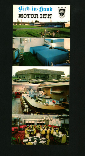 Bird hand motor inn - inn, hotel