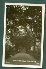 CARSHALTON,BEECHES AVENE NO