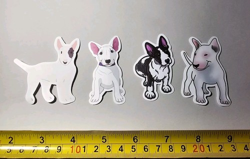 Bull terriers pups bully - bully, lot