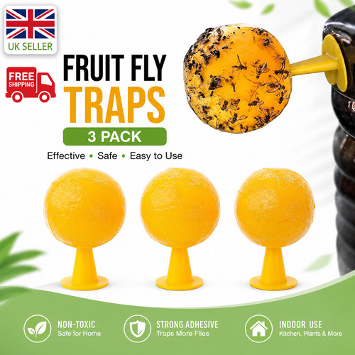 Pack indoor fly sticky traps - pack,