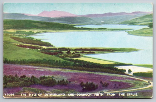 S19811 kyle sutherland - kyle, and