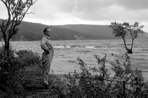 Donald campbell surveys - donald,