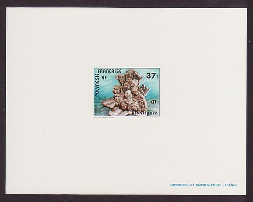 Polynesia sc312 montipora - sc312,