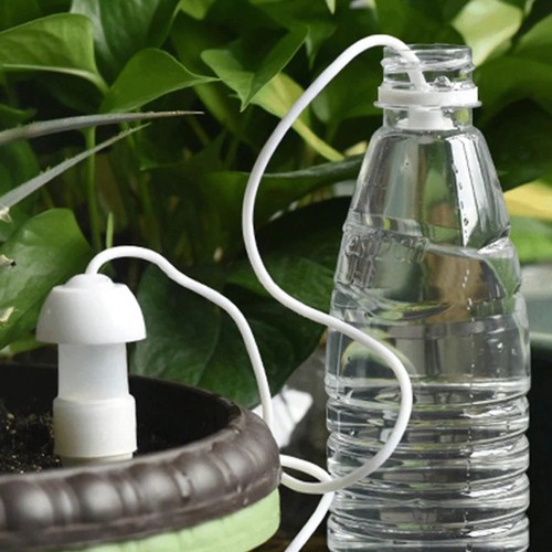 4pcs flower potted - flower, automatic