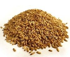 Superioats Naked Oat Superior Oats Nutrient Dense Groat 25kg