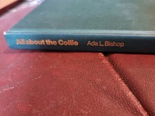 All About the Collie: Rough