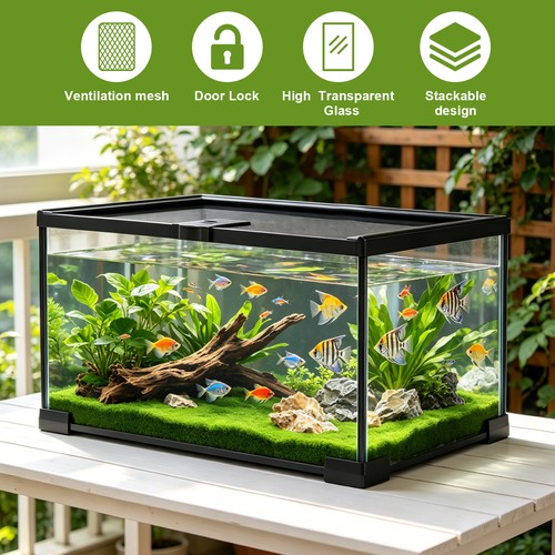 Glass reptile terrarium insect - glass,