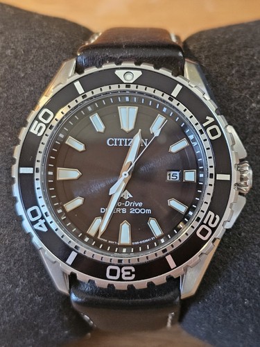 Citizen bn0190 15e - bn0190-15e, promaster