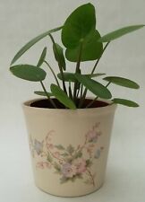 Aldridge Pottery Vintage Ceramic House Plant Pot Pink & Blue Flowers 10.5cm