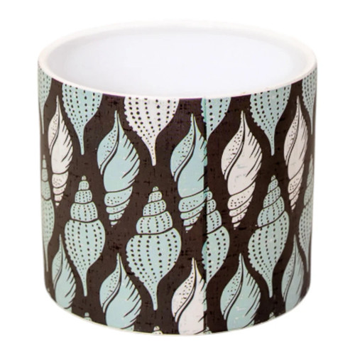 Tulip shell pot - shell,