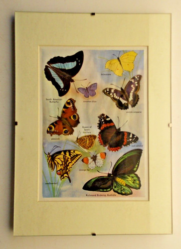 Framed vintage book - framed,